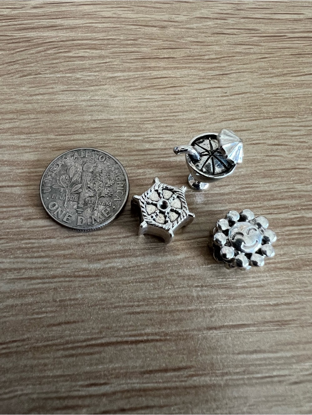 Silver Charm Lot